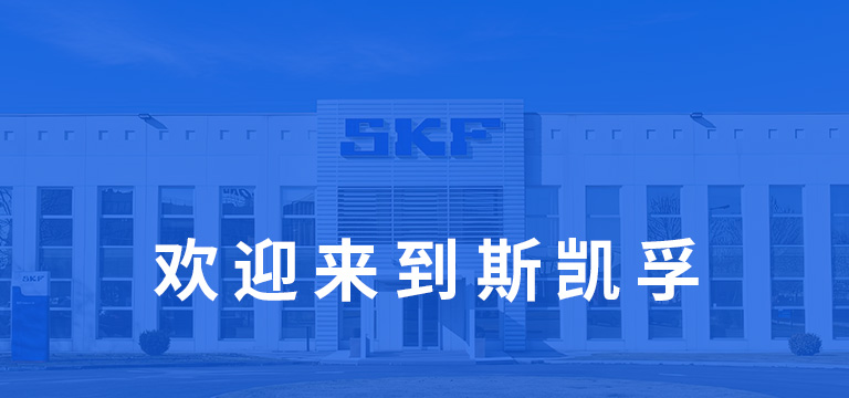 上海恩斯泰轴承机电有限公司